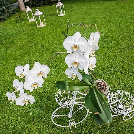 Yaev Family Hotell Karlovo