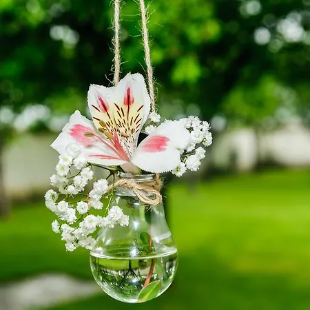 酒店 Yaev Family 卡尔洛沃