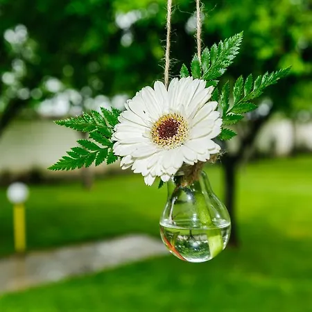 Yaev Family 卡尔洛沃