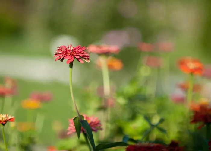 Yaev Family Хотел