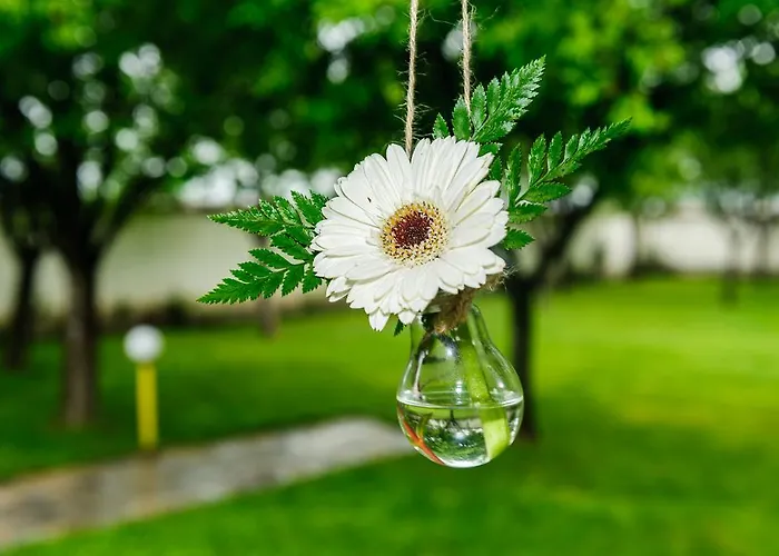 Yaev Family Карлово