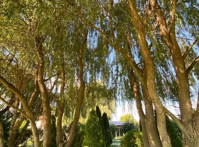 Yaev Family 3* Карлово