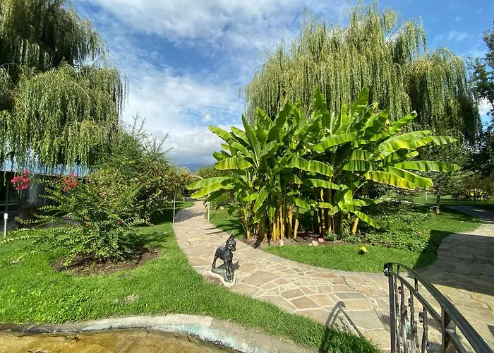 Хотел Yaev Family