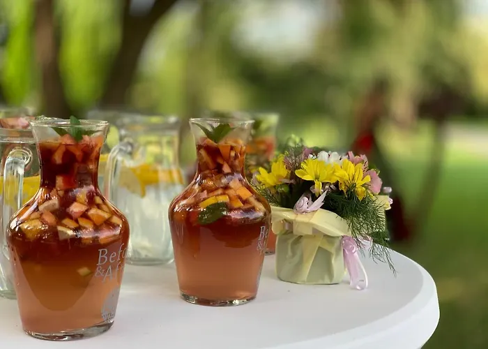 Yaev Family Карлово